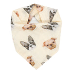 Bandana Bib - Frenchie vs Pug - immispace