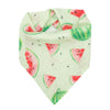 Bandana Bib - Watermelon - immispace